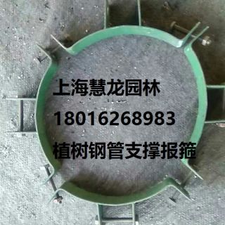 大樹報(bào)箍，植樹支撐報(bào)箍，鋼支撐報(bào)箍