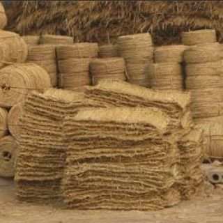 上海綠化草繩草包批發(fā)零售，土球繩，繞樹(shù)繩